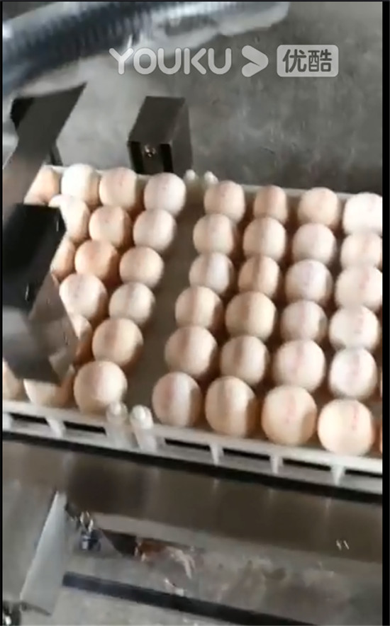 四川噴碼機(jī)客戶案例